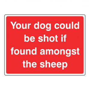 Your Dog Could Be Shot If Found In Sheep Sign (Large Landscape)